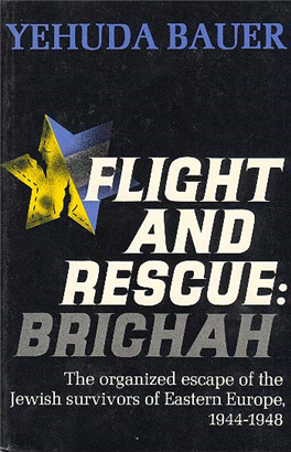 >Flight and Rescue: Bricha